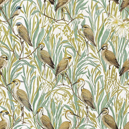 Birds in Grassy Field Wallpaper